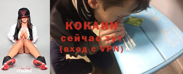 PSILOCYBIN Верхний Тагил