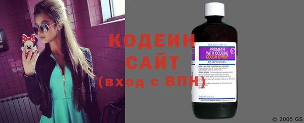 шишки Верея