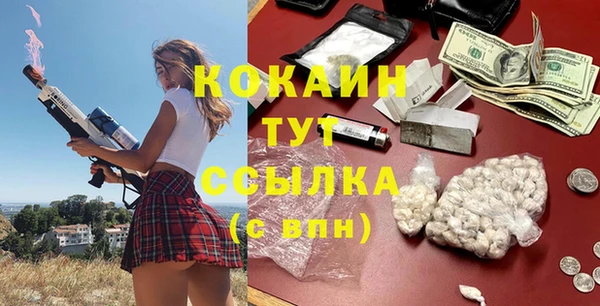 шишки Верея