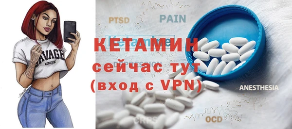 шишки Верея