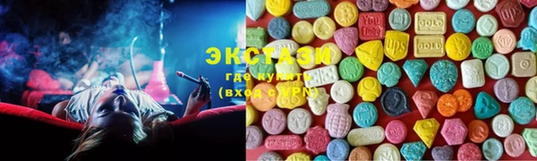 шишки Верея